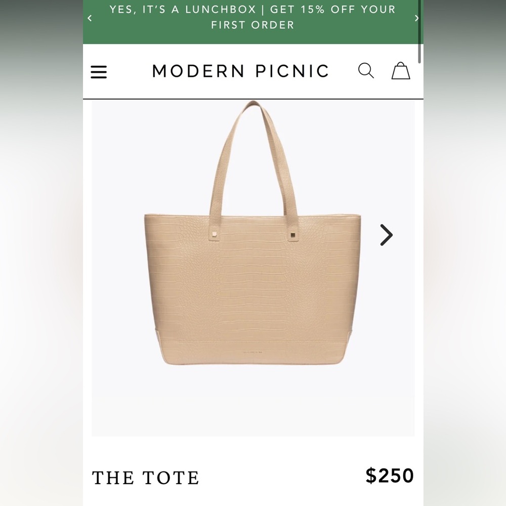 Modern picnic tote lunch